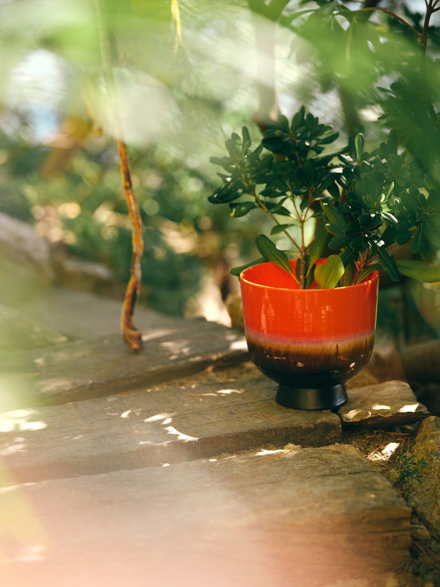 Cache-pot Retro grand