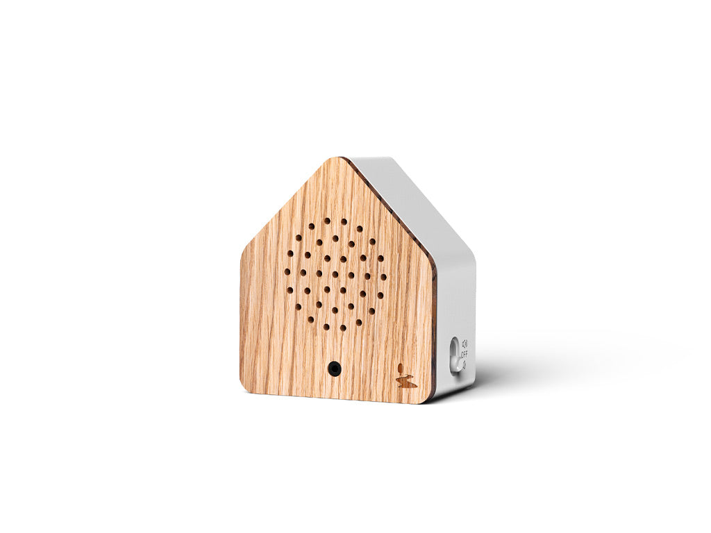 Boîte sonore Satellitebox, Ruisseau de Forêt Bois
