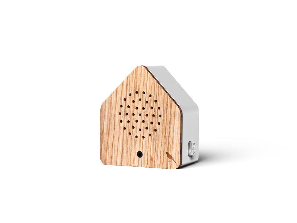 Boîte sonore Satellitebox, Rossignol Bois
