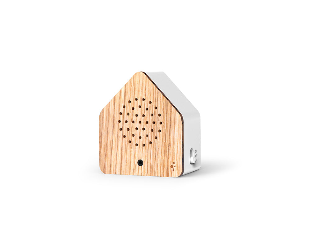 Boîte sonore Satellitebox, Pluie de Forêt Bois