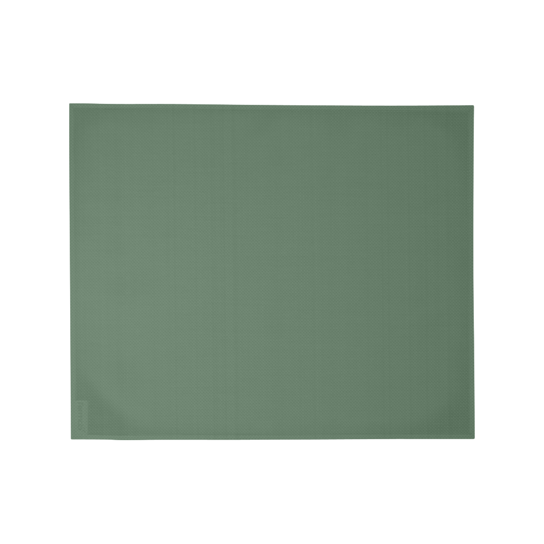 Set de table Basics — Cactus