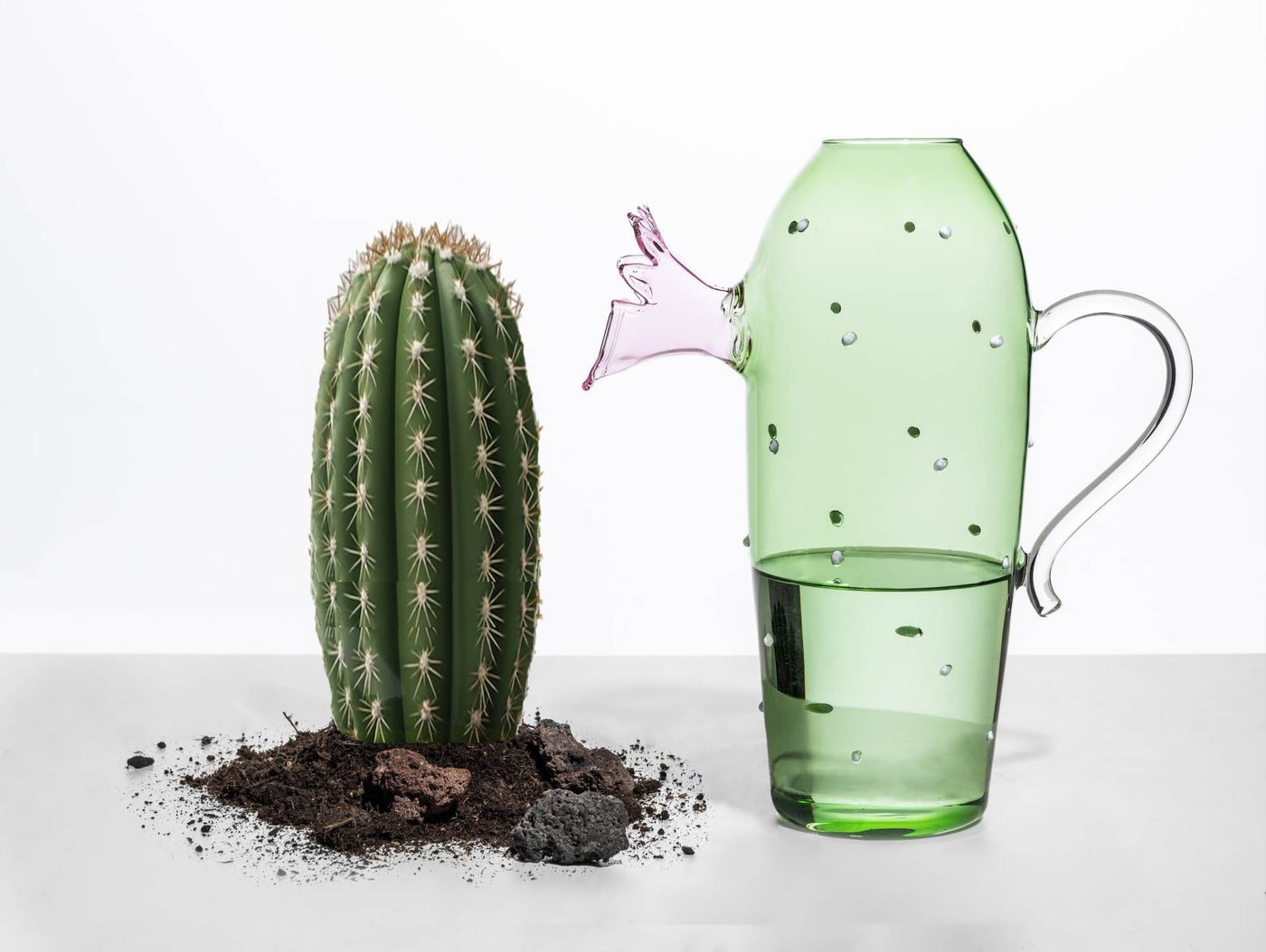 Desert Plants — collection