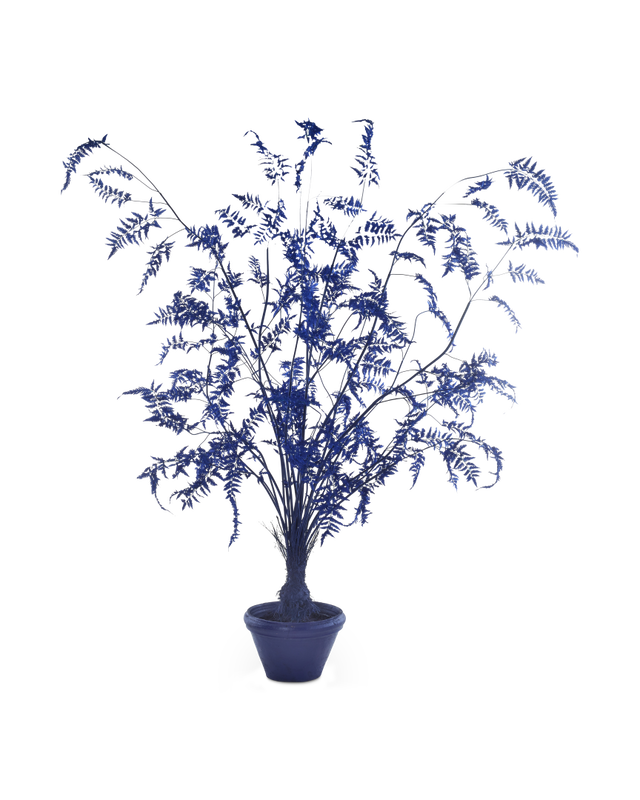Pot Fern In - L, dark blue