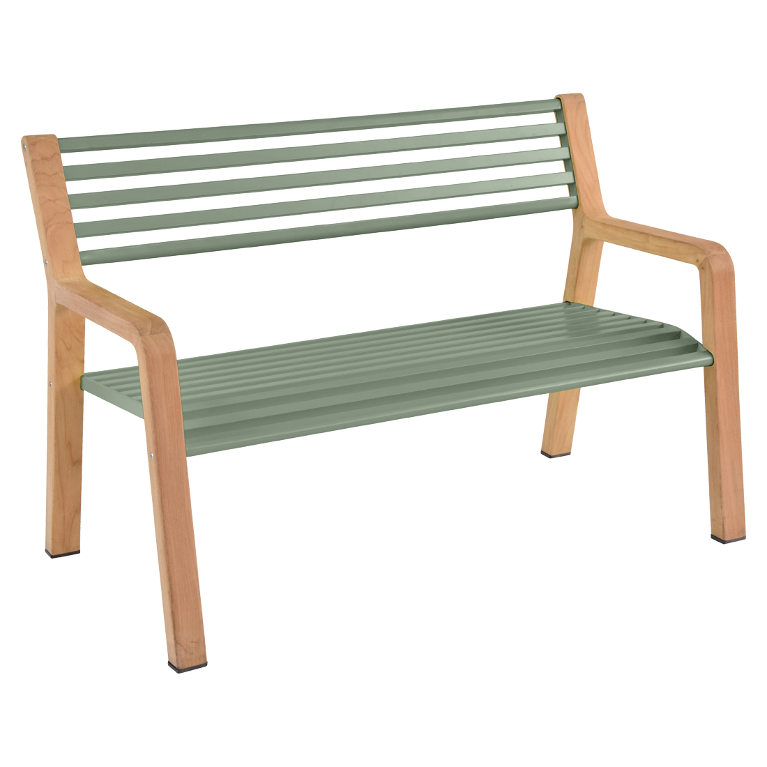 Banc Somerset — Cactus