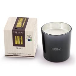Bougie parfumée Rechargeable 450 g Cèdre