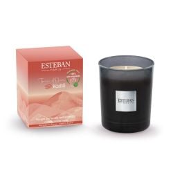 Bougie parfumée Initiale 180 g Terre d'Ocre Karité