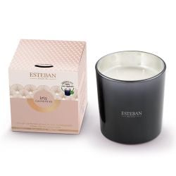 Bougie parfumée Rechargeable 450 g Iris Cachemire