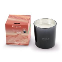 Bougie parfumée Rechargeable 450 g Terre d'Ocre Karité