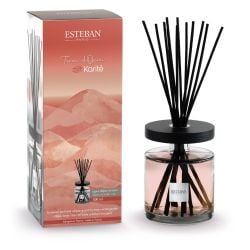 Bouquet parfumé Ellipse 500 ml Terre d'Ocre Karité