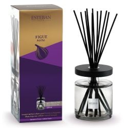 Bouquet parfumé Ellipse 500 ml Figue Noire