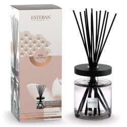 Bouquet parfumé Ellipse 500 ml Iris Cachemire
