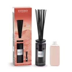 Bouquet parfumé Initial 100 ml Terre d'Ocre Karité