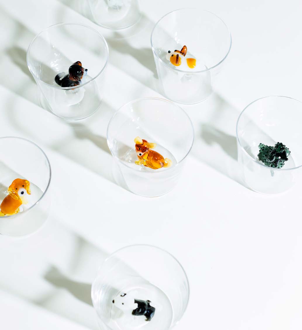 verre-a-eau-dogs — SKU 354294