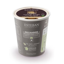 Recharge bougie parfumée Cèdre