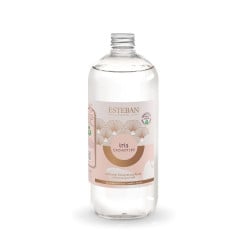 1 L